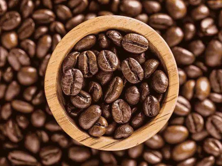 What Is Specialty Coffee? A Simple Guide to What Makes It Different
