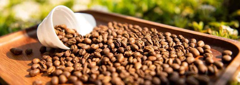 What Is Single-Origin Coffee? A Simple Guide to Origin, Flavor, and Quality