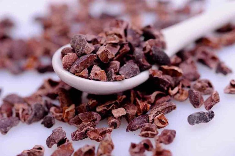 Cacao Nibs vs Chocolate Chips: What’s the Difference?